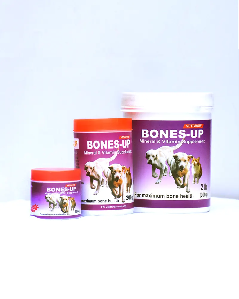 Bones-Up – Mineral & Vitamin Supplement