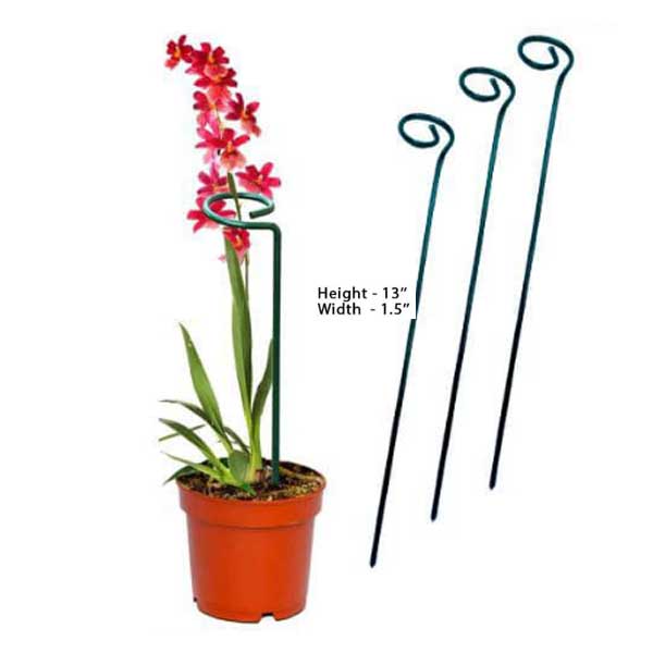 Plant Support Stakes