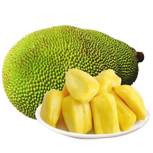 Baby Jackfruit
