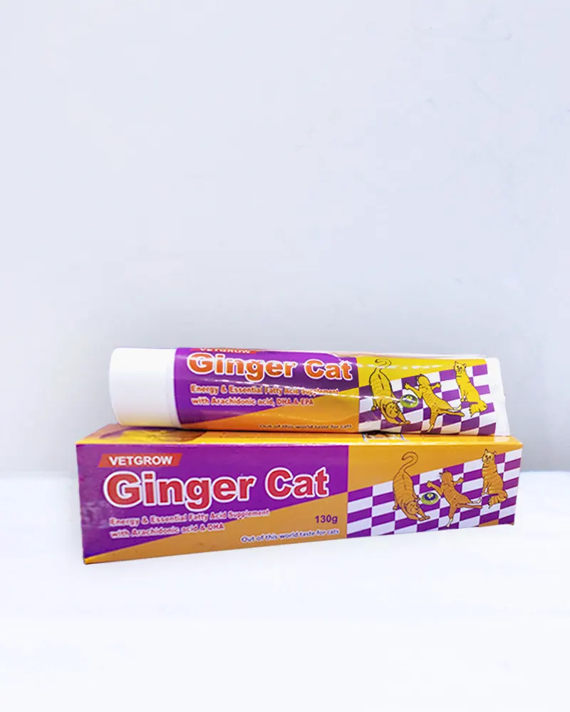 Ginger Cat – Energy & Essential Fatty Acid Supplement with Arachidonic acid & DHA