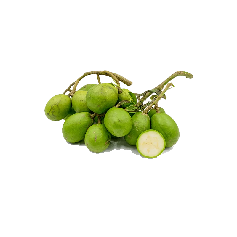 Ambarella