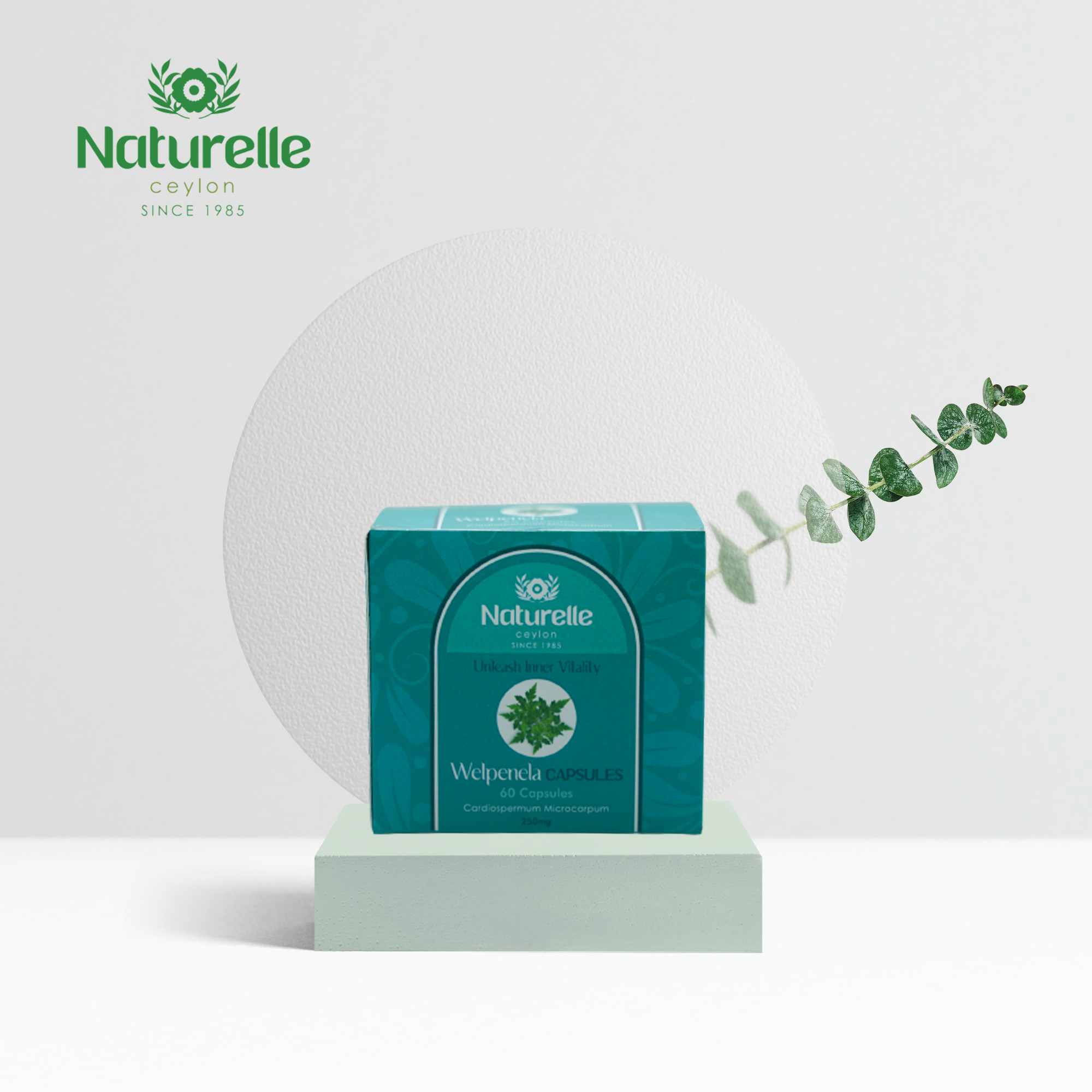 Walpenela Capsules – 60 capsules