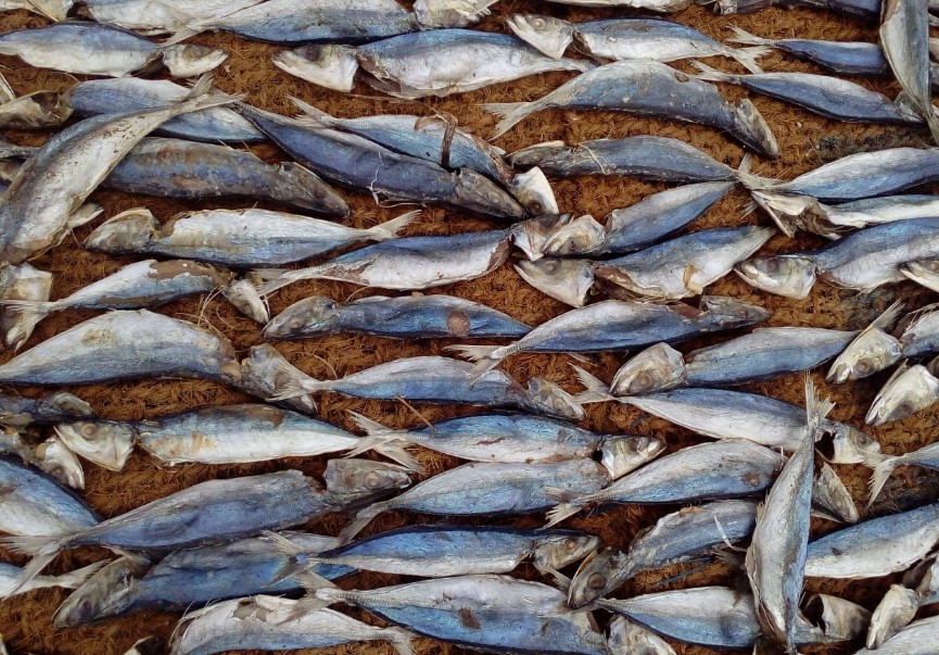 Linna Dried Fish