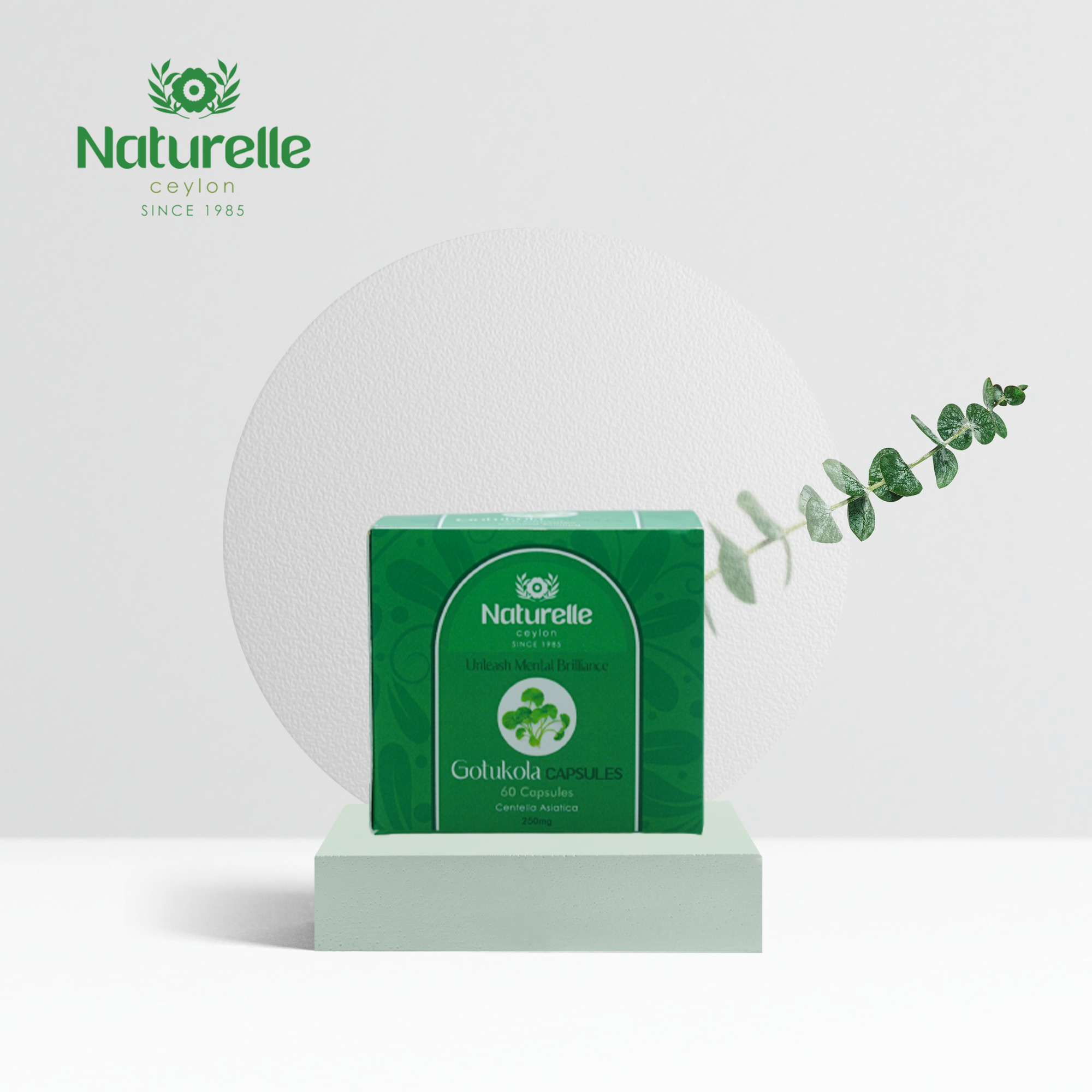 Gotukola Capsules – 60 capsules