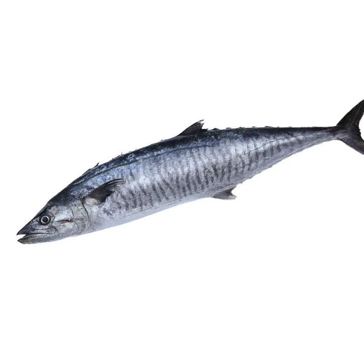 Fresh Whole Seer Fish (3Kg-4Kg)