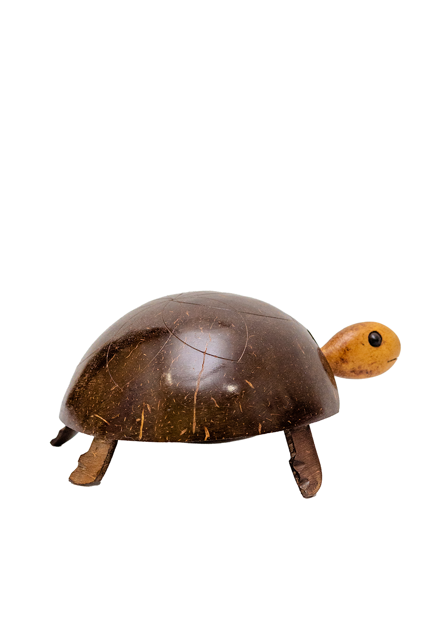 Turtle Ornament