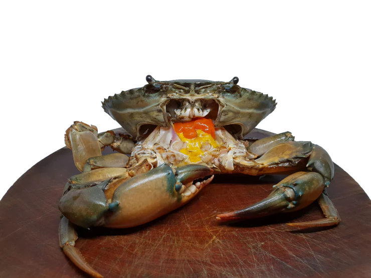 Mud Crab XXL (1KG Per Crab)