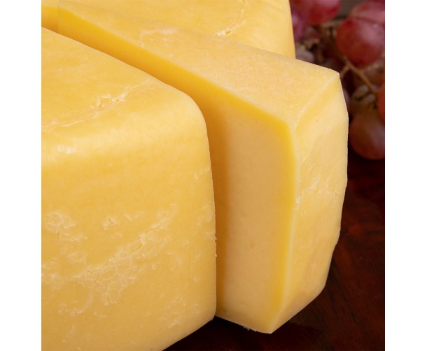 View Maia's Cheddar image