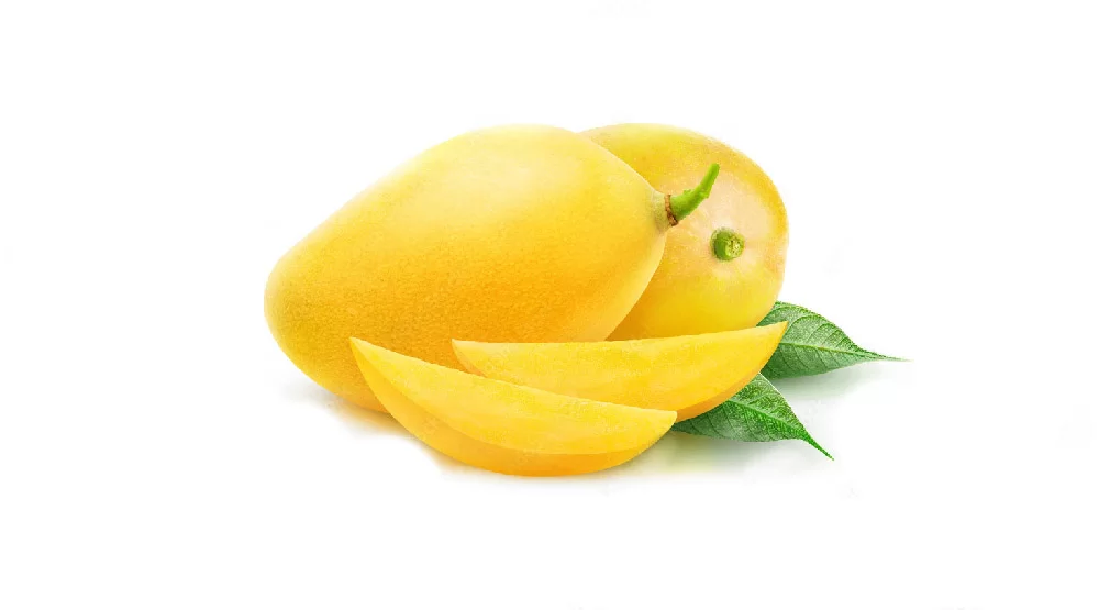 Mango TJC