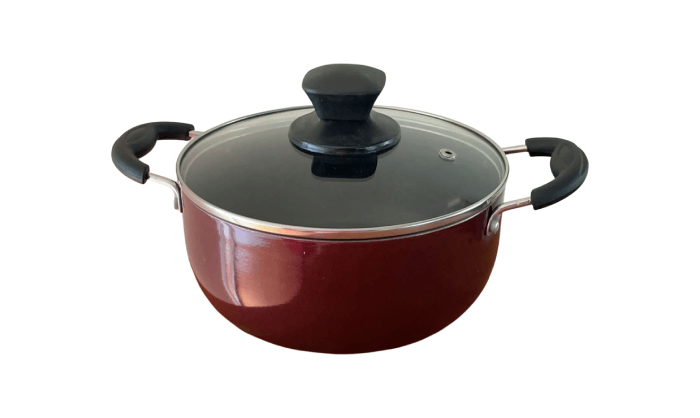 Bristo 20CM Casserole