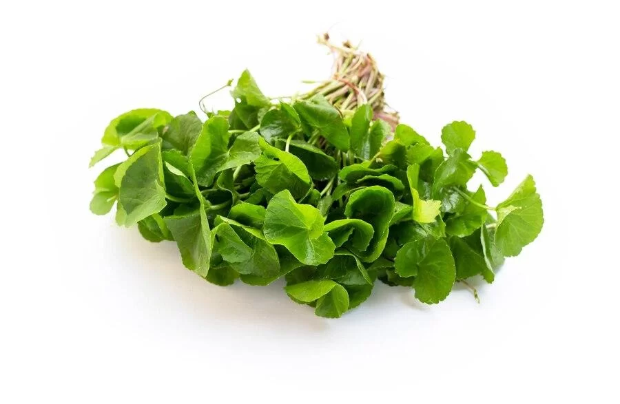 Gotukola