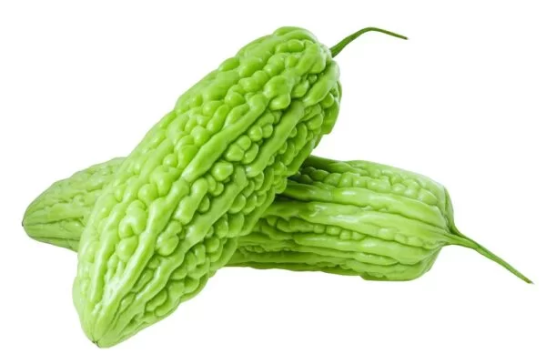 Bitter Gourd