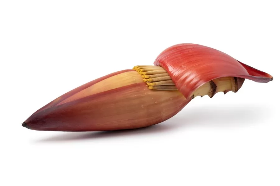 Banana Blossom