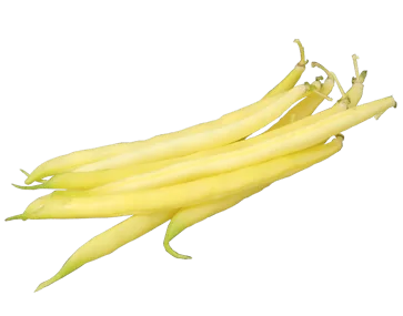 Beans (Yellow)