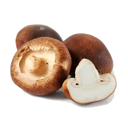 Shiitake Mushroom