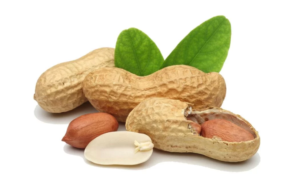 Peanut