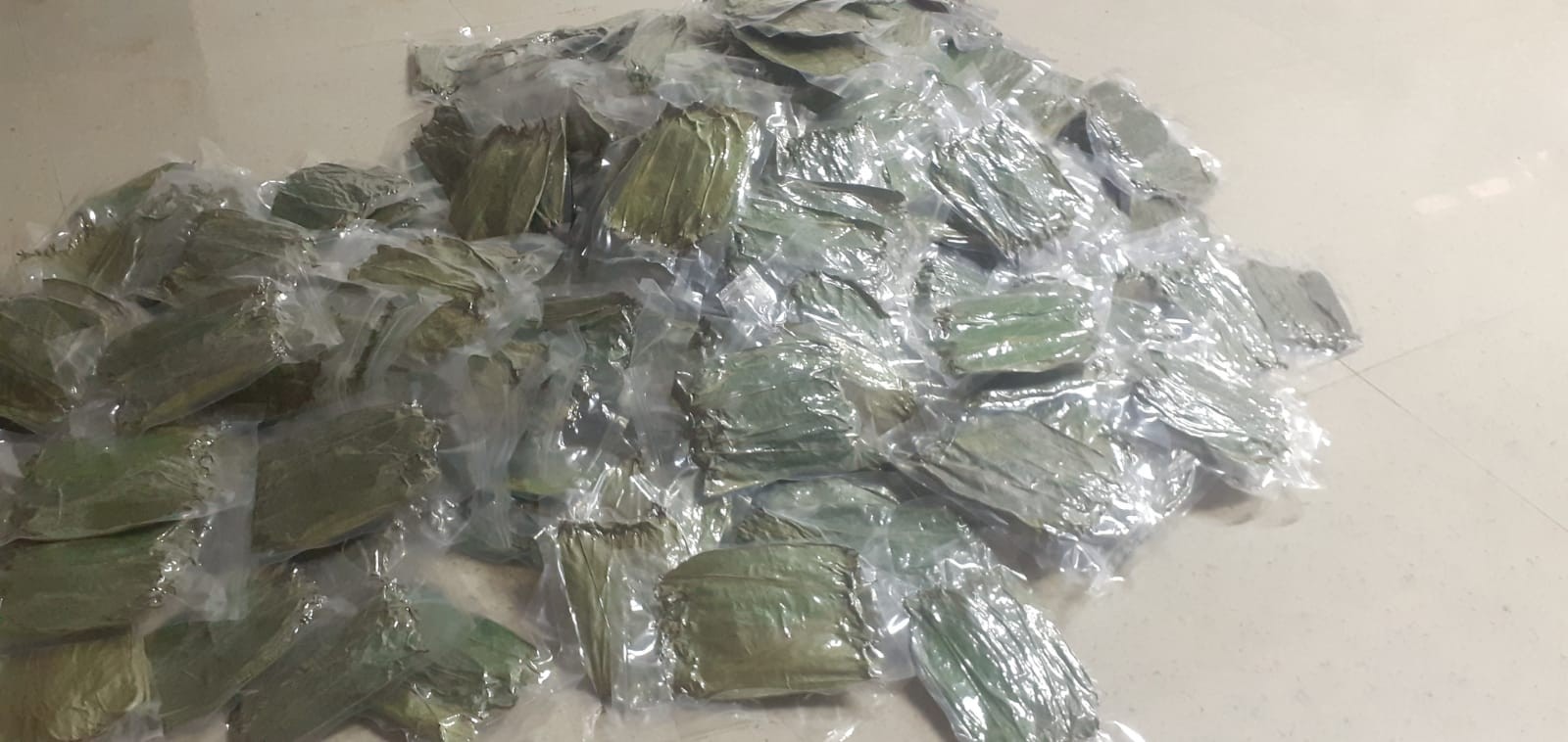 View Fresh Soursop Leaves (Graviola) – 100% Natural – 100 Leaves Pack image
