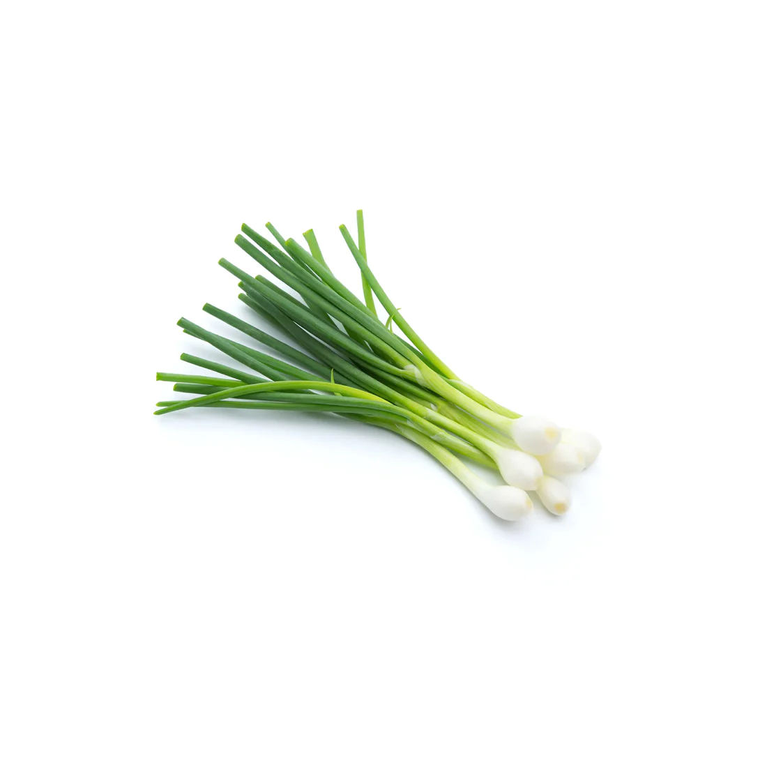 Spring Onion