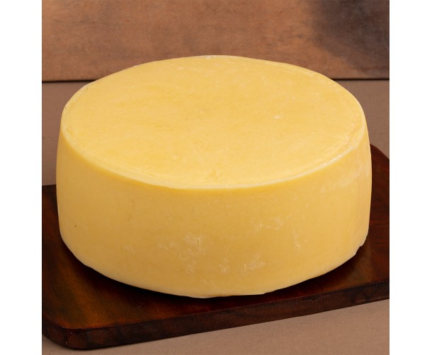 View Maia's Cheddar image