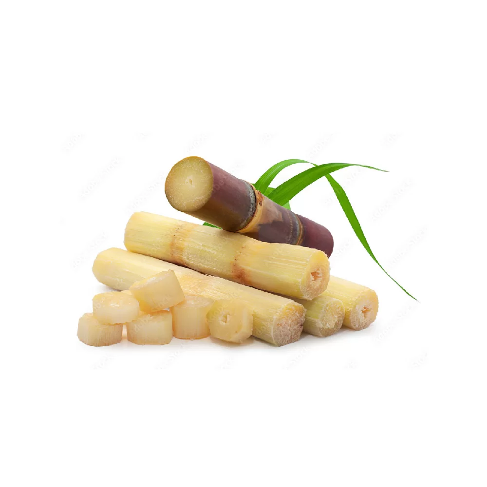 Sugarcane