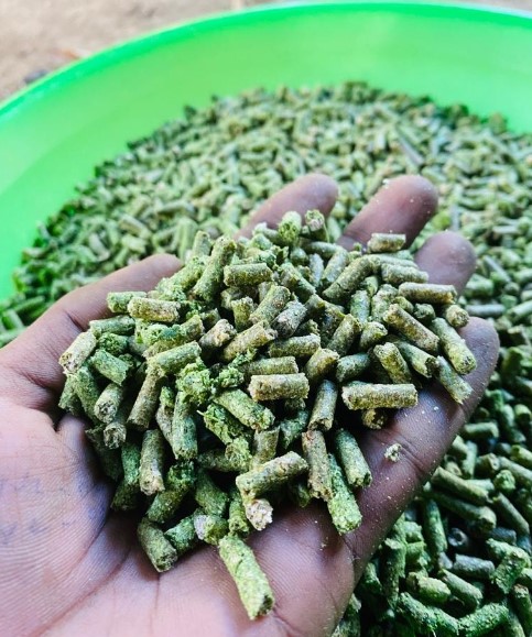 View EcoChow Organic Animal Food image