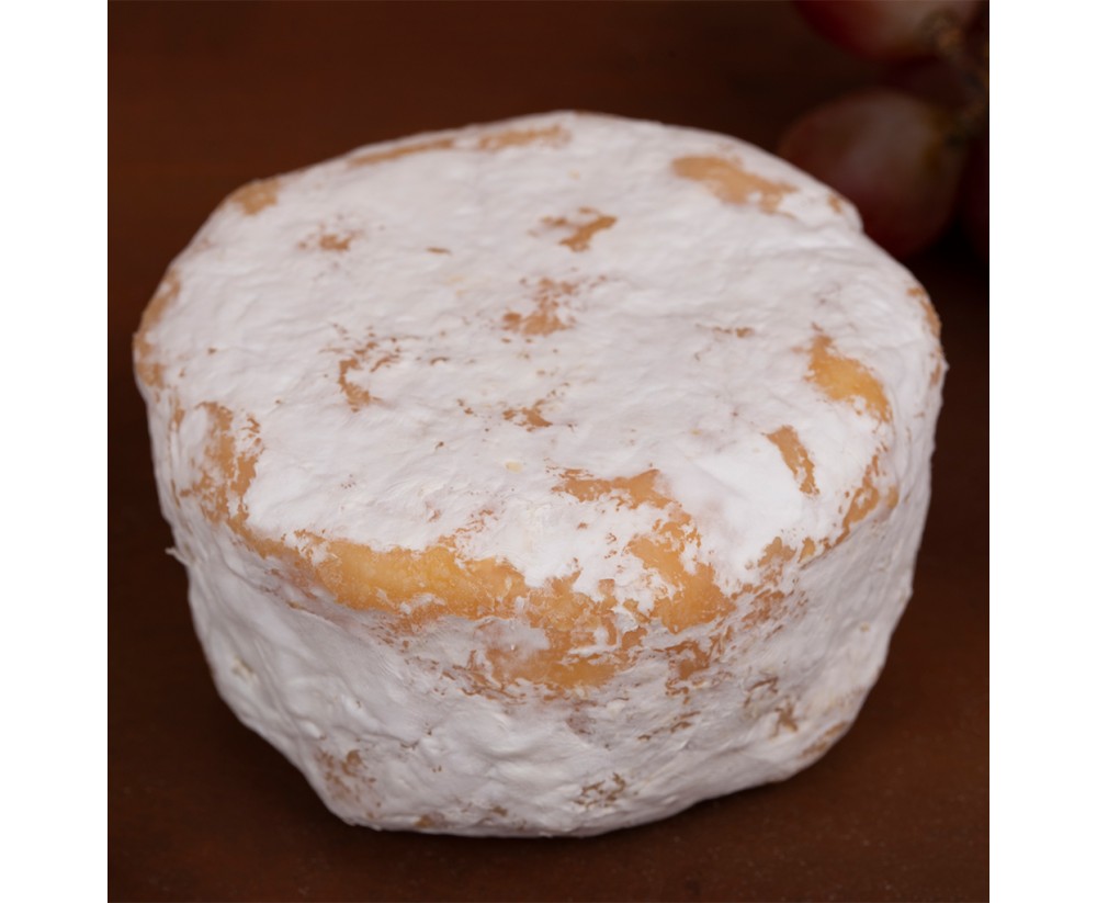 View Maia’s Beautiful Bree (Brie) image