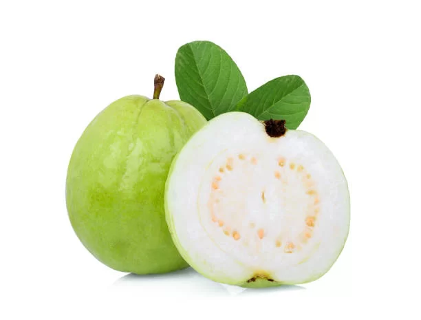 Guava