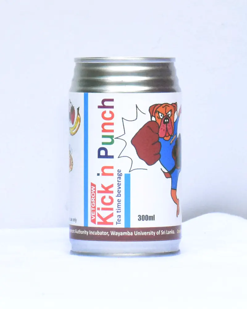Kick in Punch