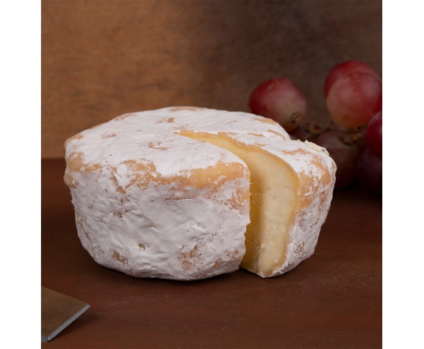 View Maia’s Beautiful Bree (Brie) image