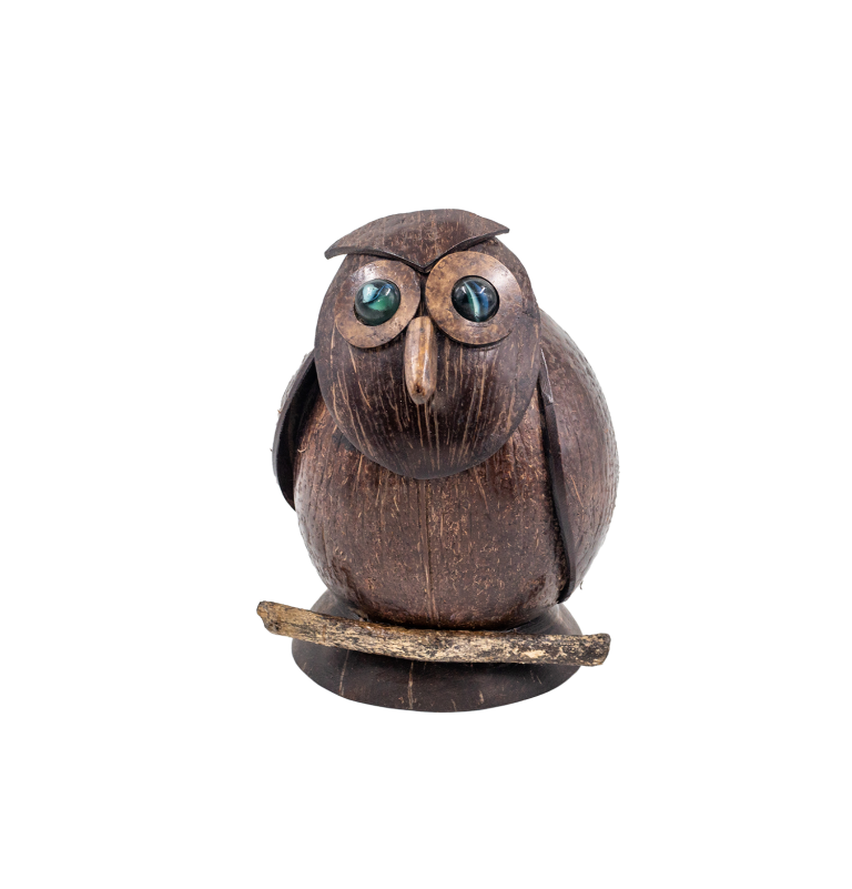 View Marbles eye owl image