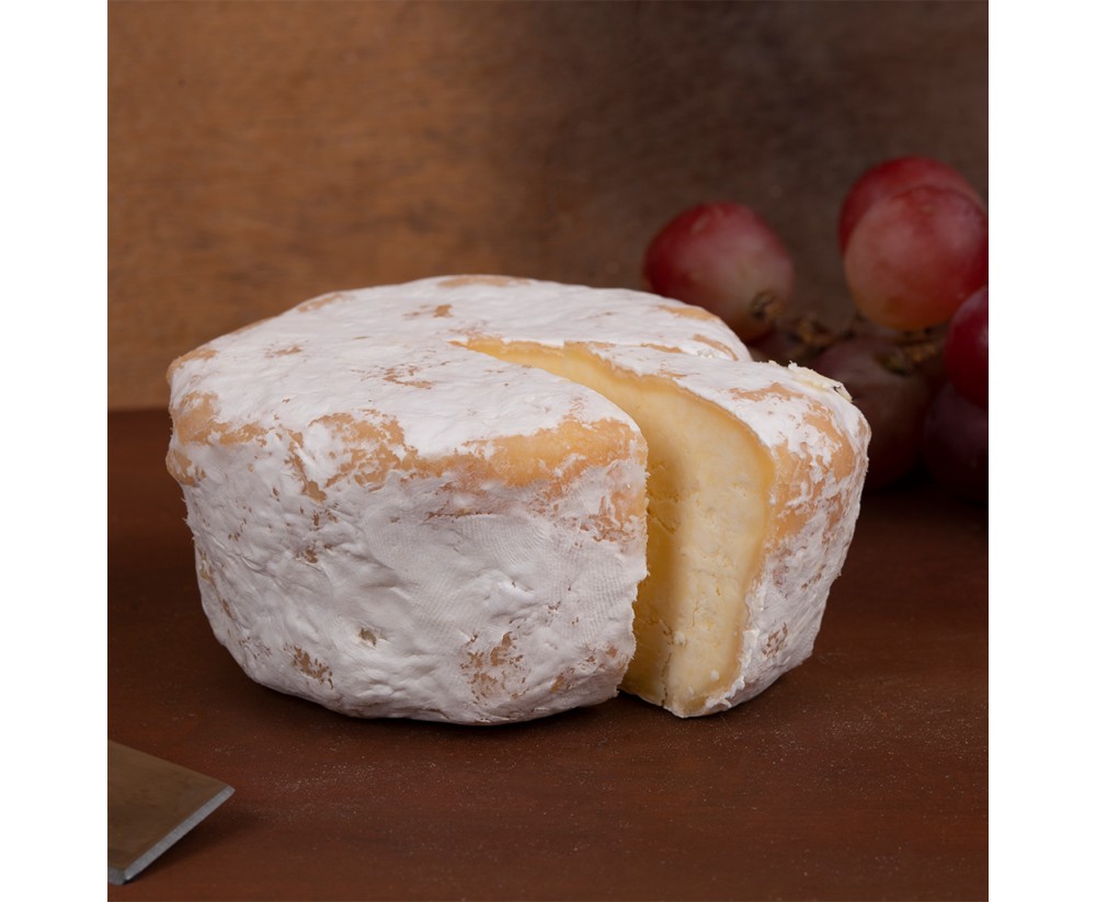 View Maia’s Beautiful Bree (Brie) image