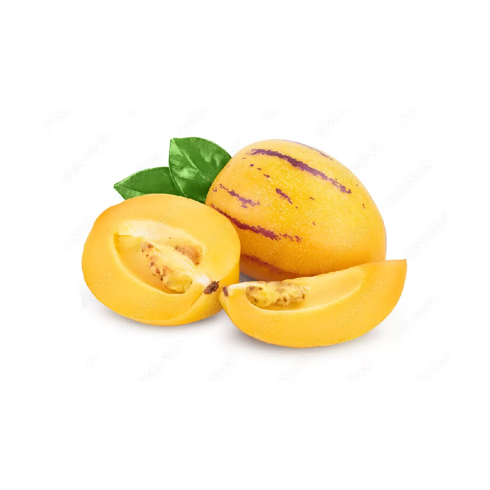 Papino