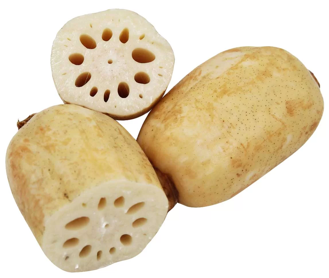 Lotus Root
