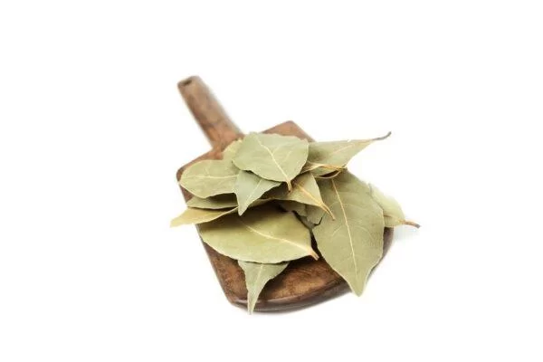 Bay Leaves