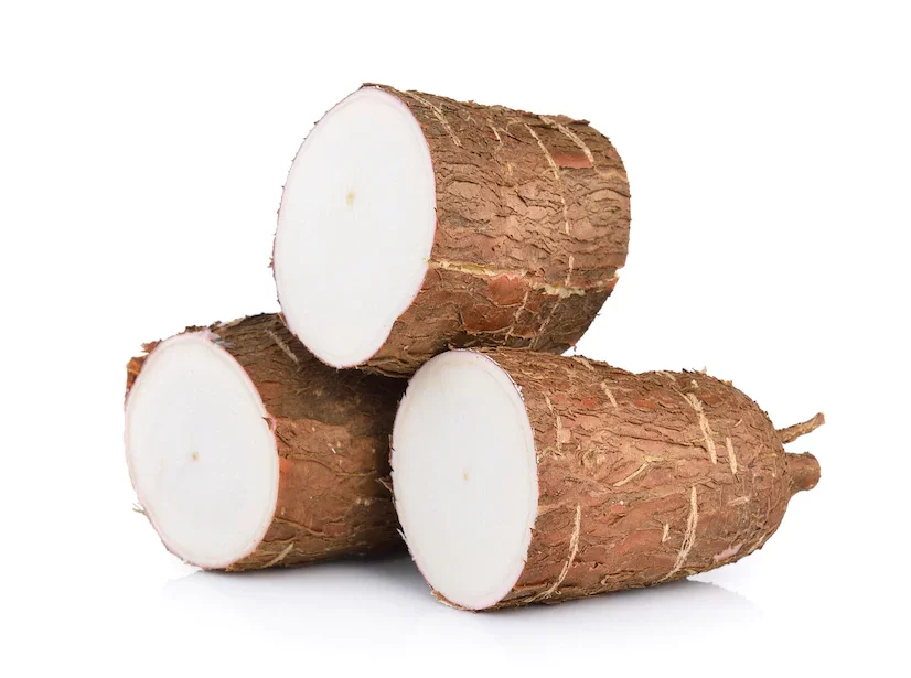 Manioc