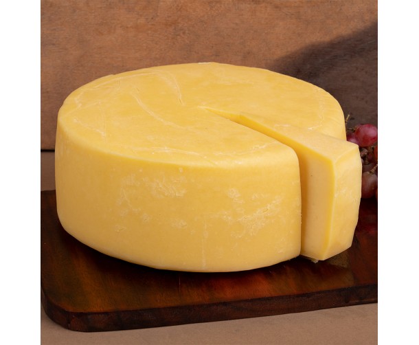 View Maia's Cheddar image