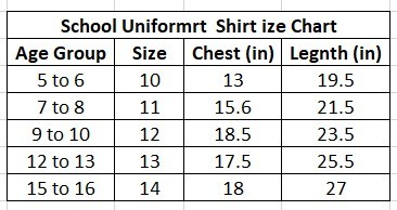 View School Uniform Boys’ Shirt – Comfortable & Durable image