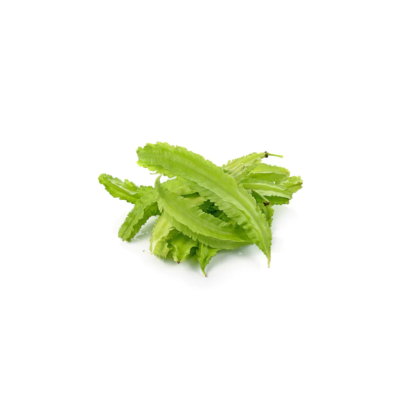 Winged Beans (Dambala)
