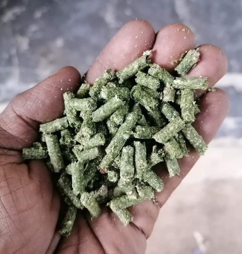 EcoChow Organic Animal Food