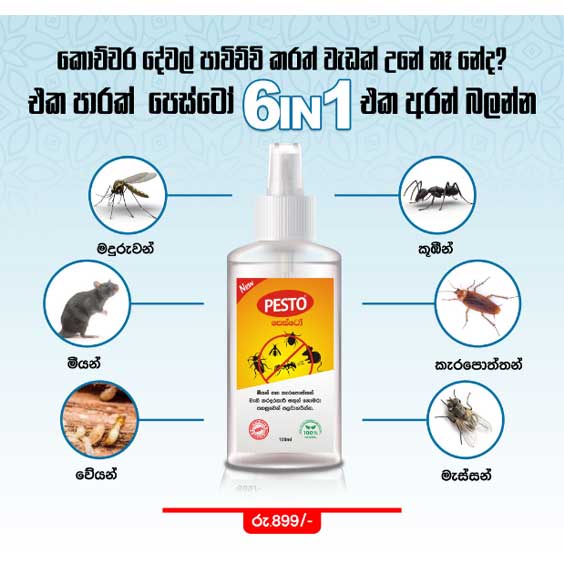 View Pesto - 6 in 1 Pest Control image