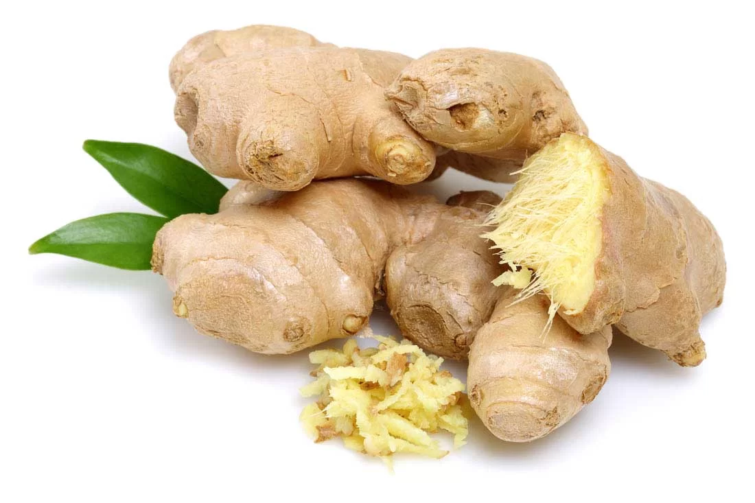 Ginger