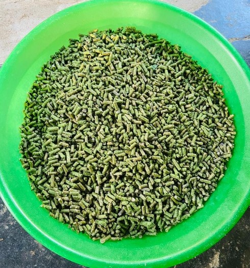 View EcoChow Organic Animal Food image