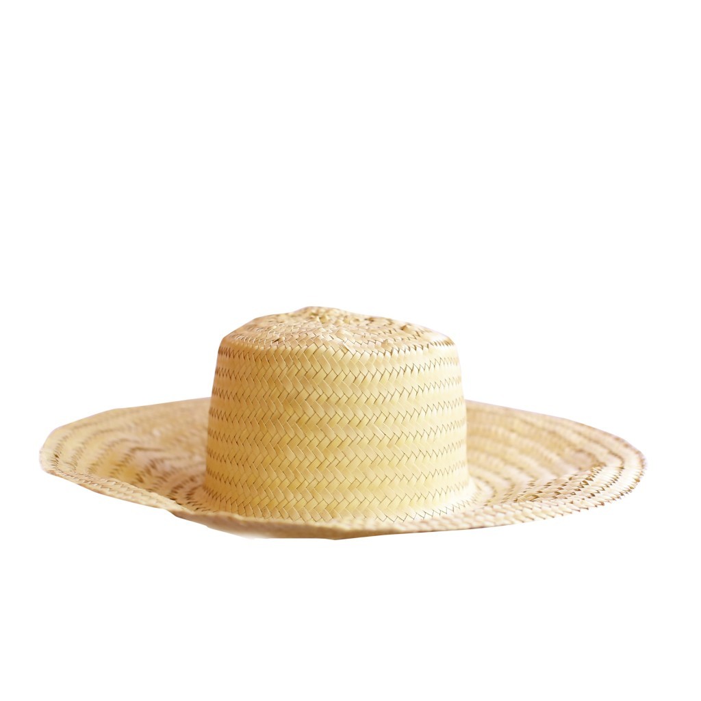 Palm Hat