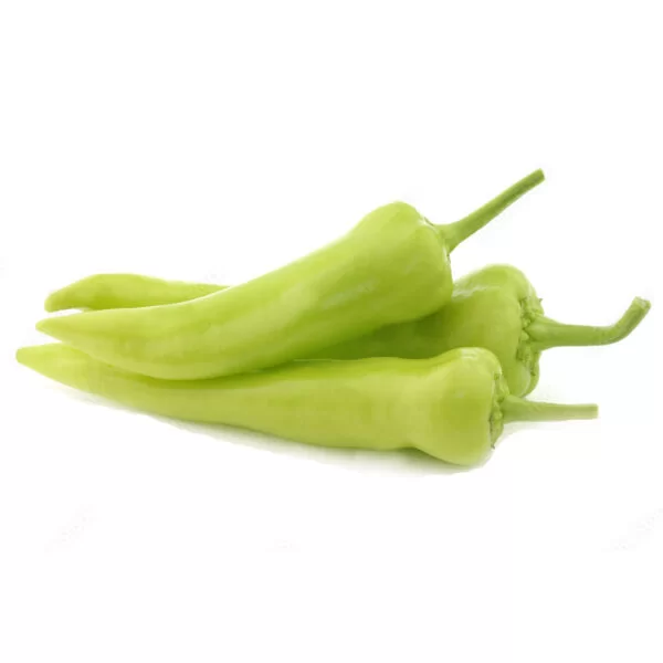 Capsicum