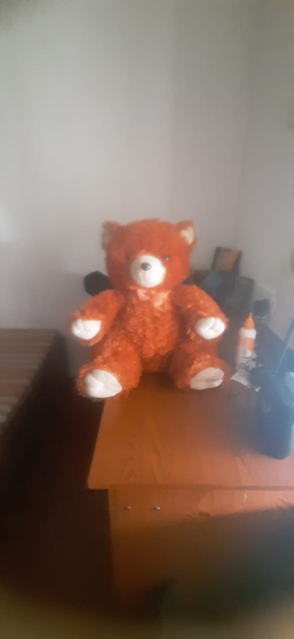 View Teddy Bears image