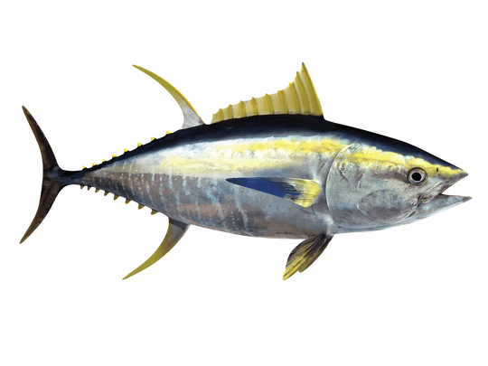 View Tuna - Kelawalla (1KG) image