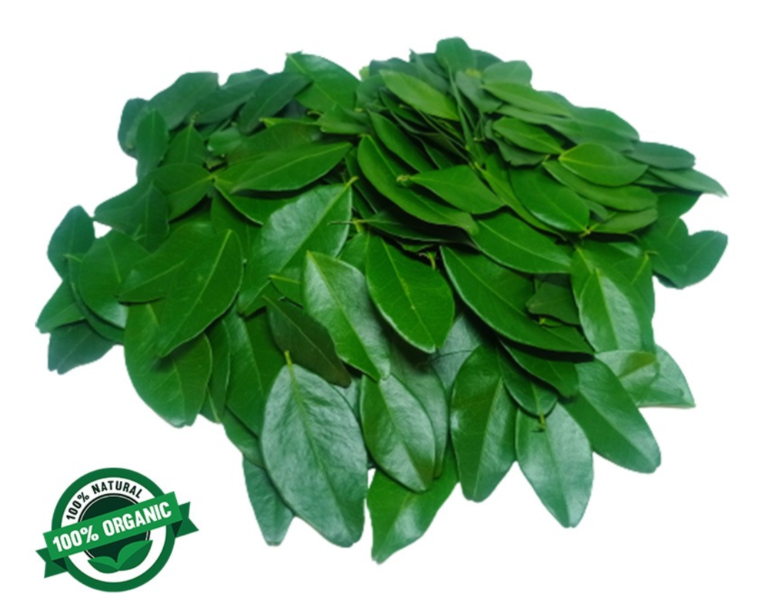 View Atalantia Powder ( Yakinaran Powder ) image