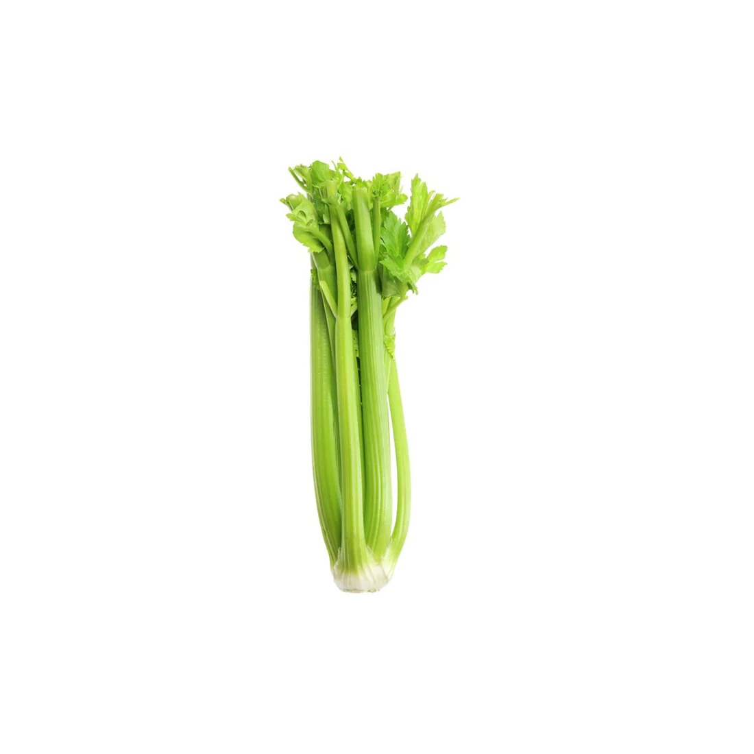 Celery