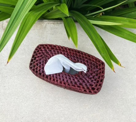 Tissue Holder