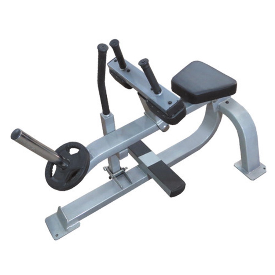 Seated Calf Machine